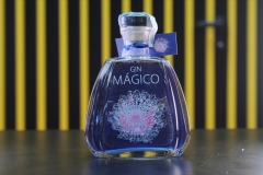 Magico-Gin-2